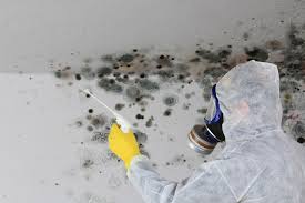 Best Mold Odor Removal Services  in Lincoln, AR